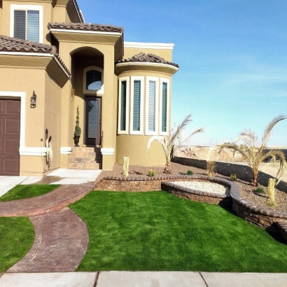 Turf Grass Stevinson, California Landscaping, Front Yard Landscape Ideas