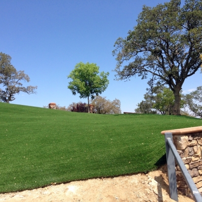 Turf Grass Tuttle, California Landscape Photos, Front Yard Ideas