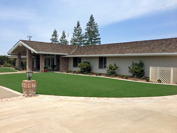 Artificial Grass Carpet Bear Creek, California Landscape Ideas, Front Yard Landscaping