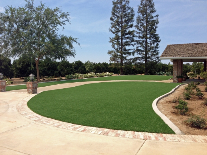 Artificial Grass Carpet Cressey, California Landscape Design, Front Yard Ideas