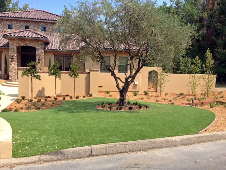 Artificial Grass Carpet Dos Palos Y, California Backyard Playground, Front Yard Landscaping