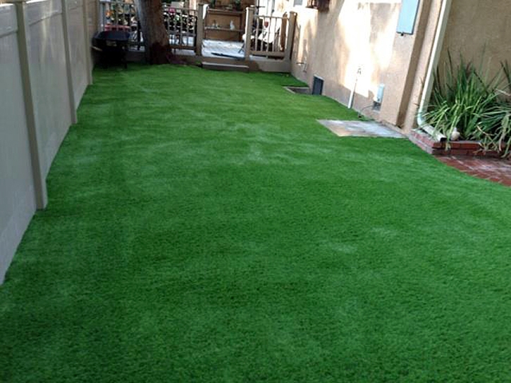 Artificial Grass Carpet Dos Palos Y, California Backyard Deck Ideas, Backyard Landscape Ideas