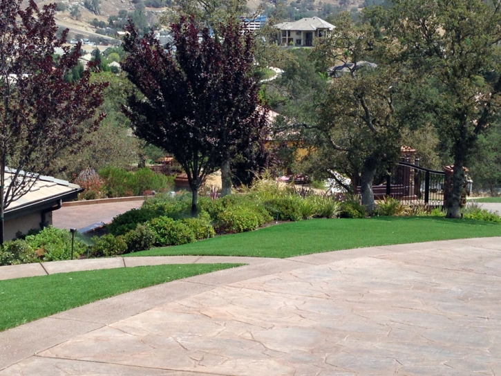 Artificial Grass Carpet Dos Palos, California Rooftop, Small Front Yard Landscaping