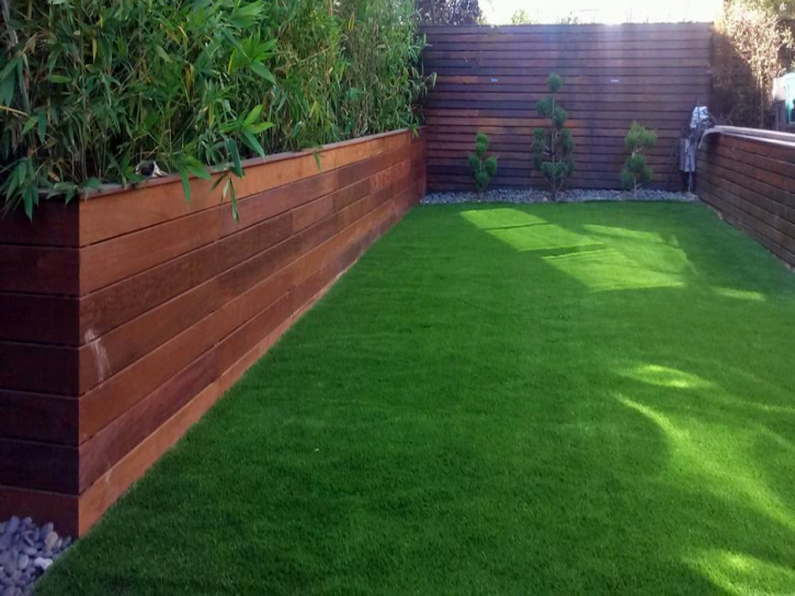 Artificial Grass Carpet Stevinson, California Garden Ideas, Backyard Design