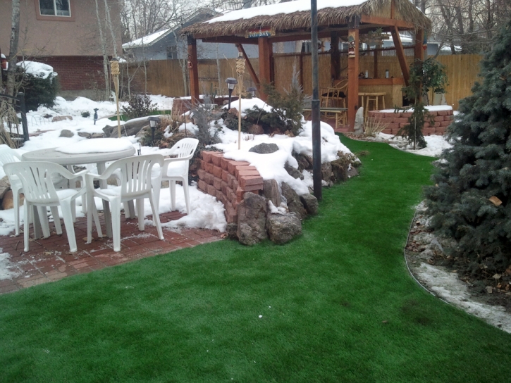 Artificial Grass Dos Palos Y, California Landscape Photos, Backyard Designs