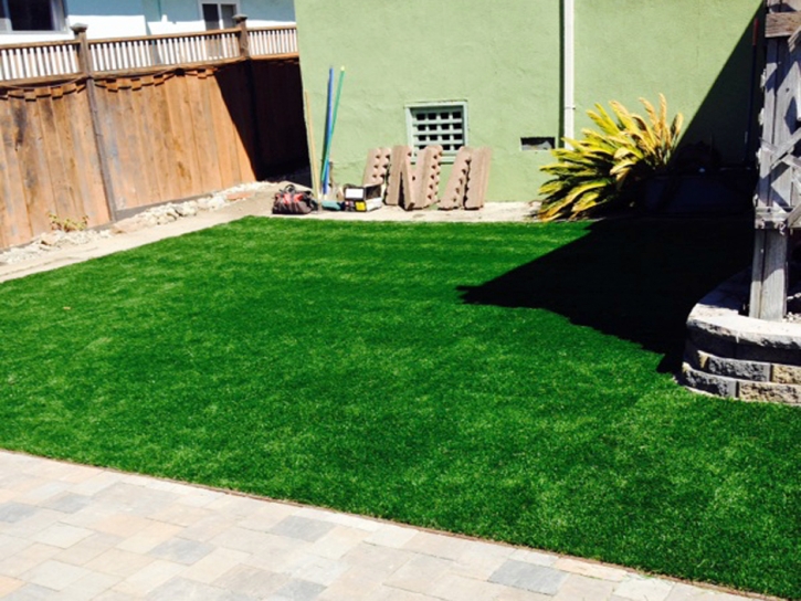 Artificial Grass El Nido, California Roof Top, Backyard Ideas