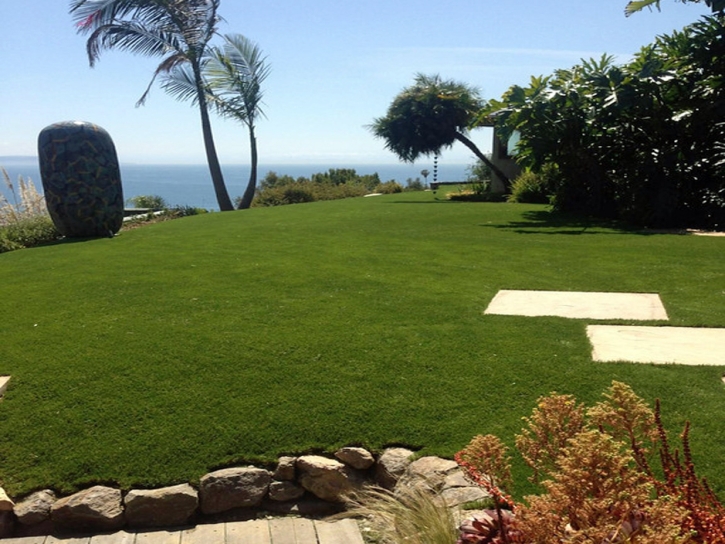 Artificial Grass Hilmar-Irwin, California Landscaping Business, Commercial Landscape