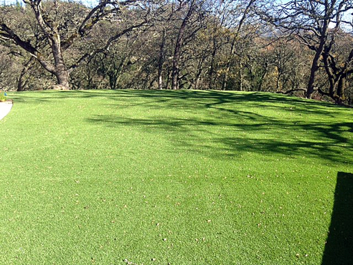 Artificial Grass Installation Ballico, California Landscape Rock, Recreational Areas