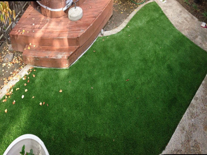 Artificial Grass Installation Planada, California Roof Top, Backyard Ideas