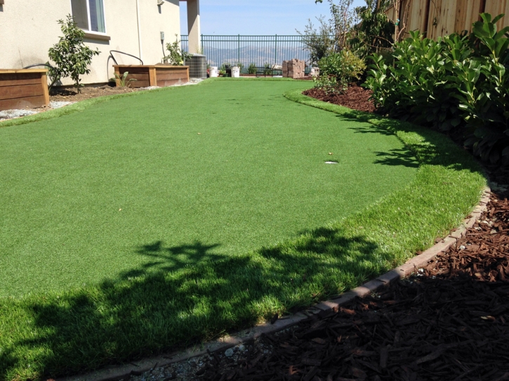 Artificial Grass Merced, California Landscape Photos, Backyard