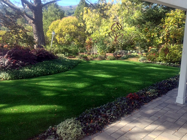 Artificial Grass Tuttle, California Landscape Ideas, Backyard Makeover