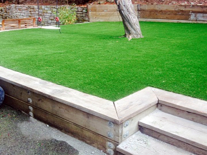 Artificial Grass Volta, California Paver Patio, Backyard Designs