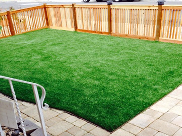 Artificial Lawn Delhi, California Gardeners, Backyard Makeover