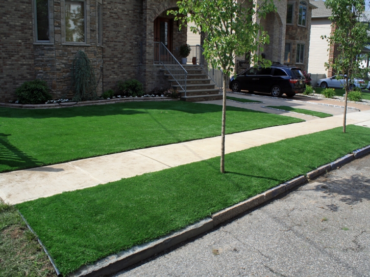 Artificial Lawn Delhi, California Landscape Design, Front Yard Landscaping