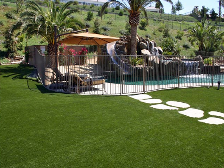 Artificial Lawn South Dos Palos, California City Landscape, Pavers