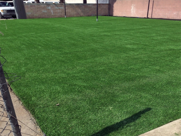 Artificial Lawn South Dos Palos, California Sports Turf