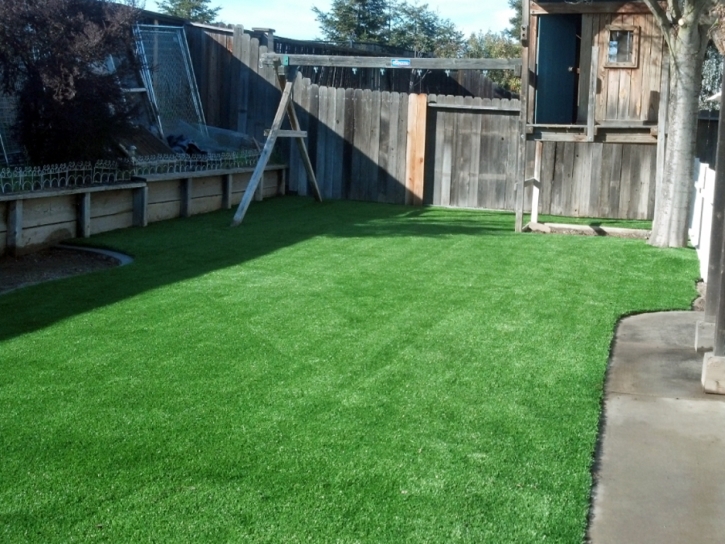 Artificial Lawn South Dos Palos, California Roof Top, Beautiful Backyards