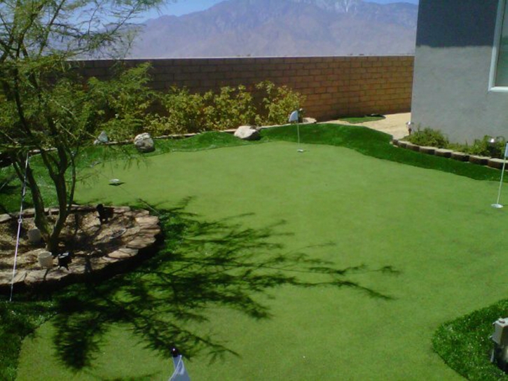 Artificial Lawn Stevinson, California How To Build A Putting Green, Backyard Landscape Ideas