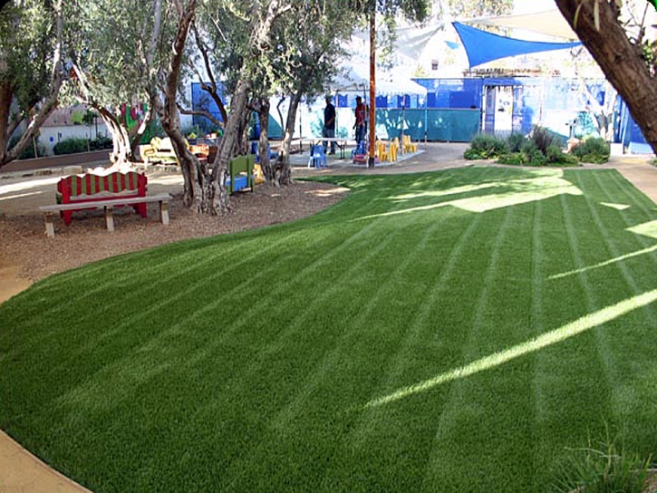 Artificial Turf Atwater, California Landscape Photos, Commercial Landscape