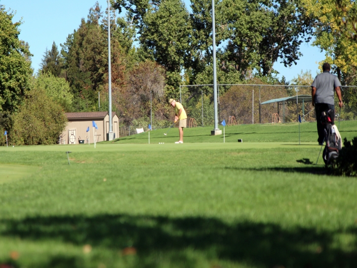 Artificial Turf Atwater, California Office Putting Green, Commercial Landscape