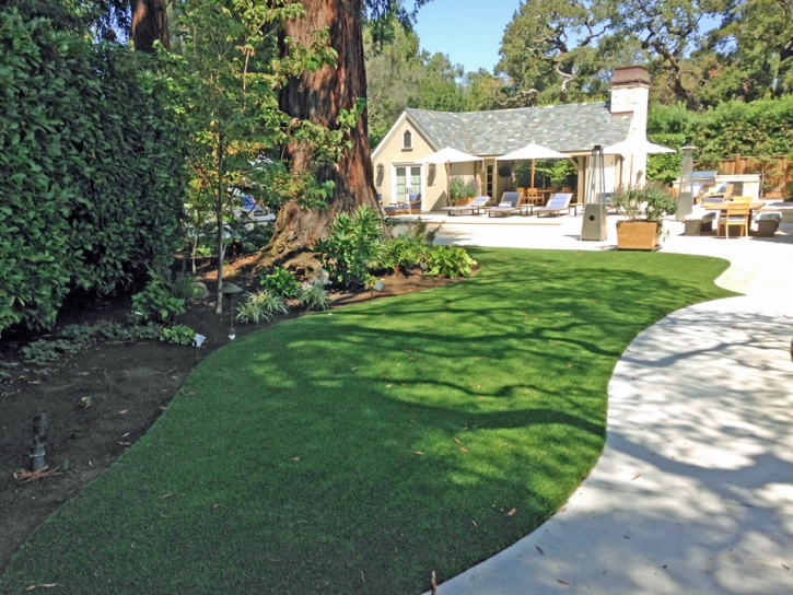 Artificial Turf Cost Dos Palos Y, California Backyard Playground, Commercial Landscape