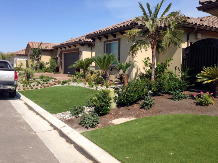 Artificial Turf Cost El Nido, California Landscape Ideas, Front Yard Landscape Ideas