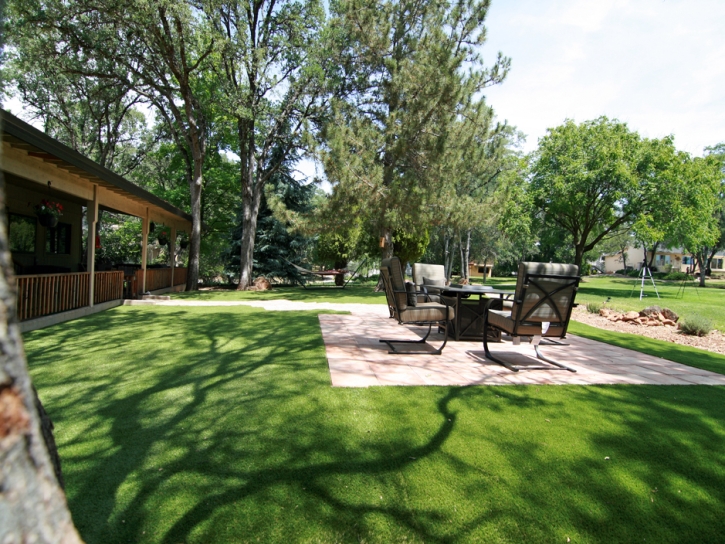 Artificial Turf Cost Livingston, California Landscaping Business, Backyard Ideas