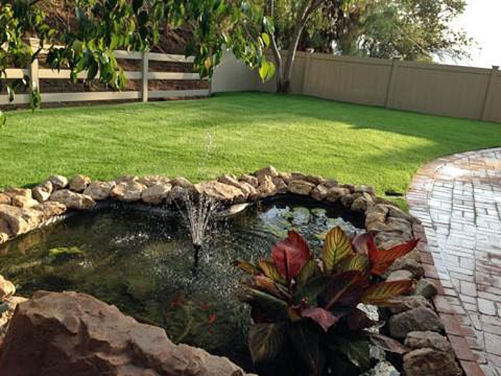 Artificial Turf Cost Los Banos, California Landscape Design, Backyards