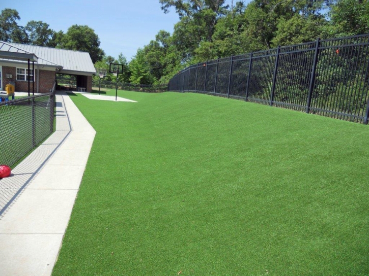 Artificial Turf Cost Snelling, California Landscaping Business, Commercial Landscape