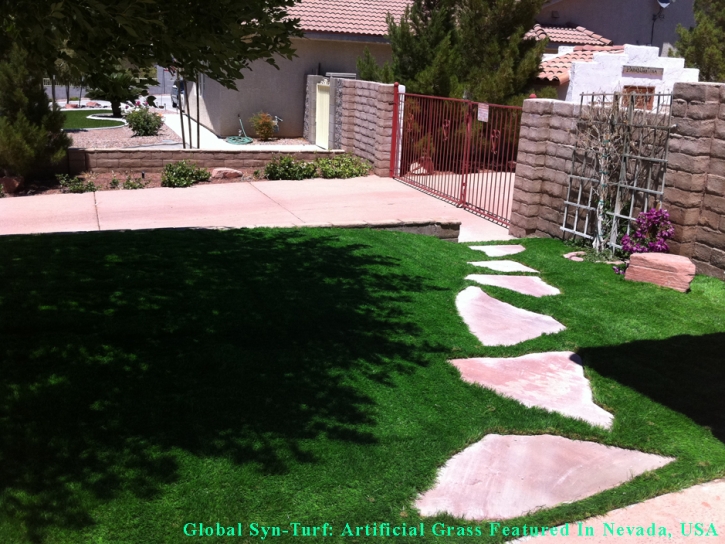 Artificial Turf Cost South Dos Palos, California Dog Park, Front Yard Landscaping