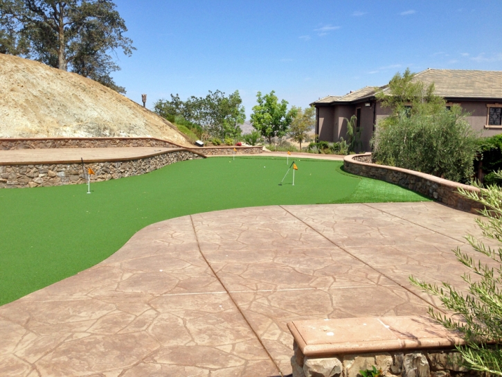 Artificial Turf Cost South Dos Palos, California Artificial Putting Greens, Backyards