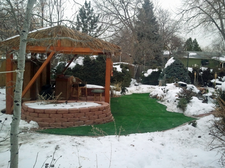 Artificial Turf Cost Tuttle, California Gardeners, Backyard