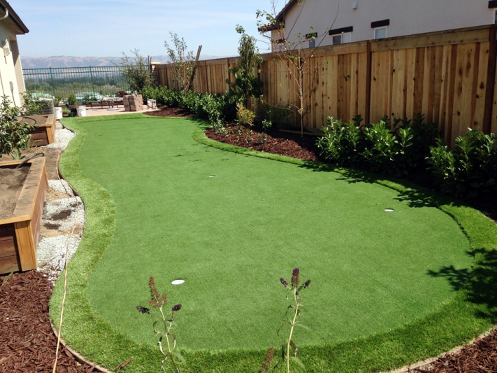 Artificial Turf Cost Winton, California Rooftop, Backyard