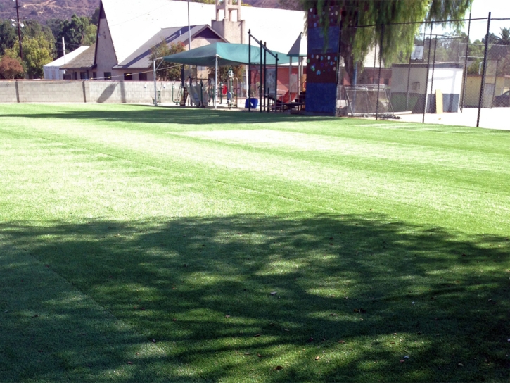 Artificial Turf Cressey, California Home And Garden, Parks