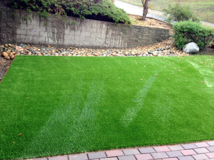 Artificial Turf Cressey, California Landscape Photos, Front Yard