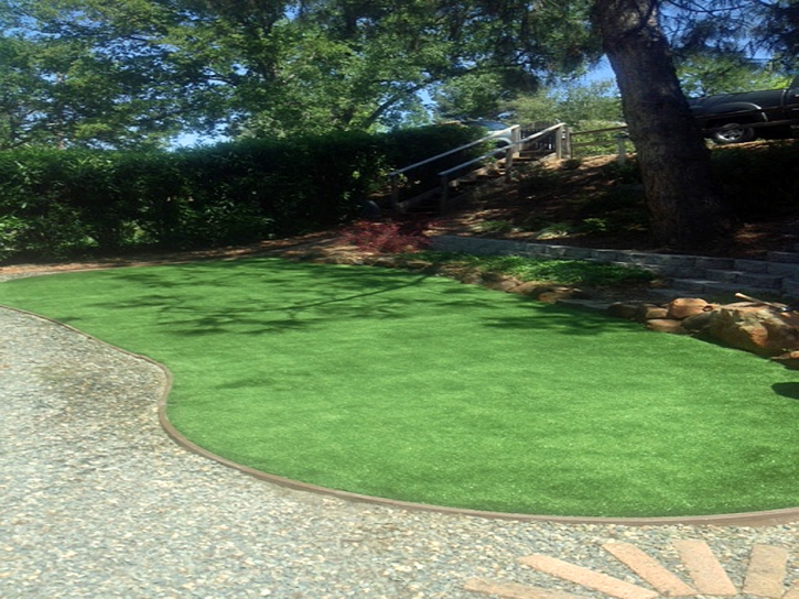 Artificial Turf Delhi, California Backyard Playground, Backyard Ideas