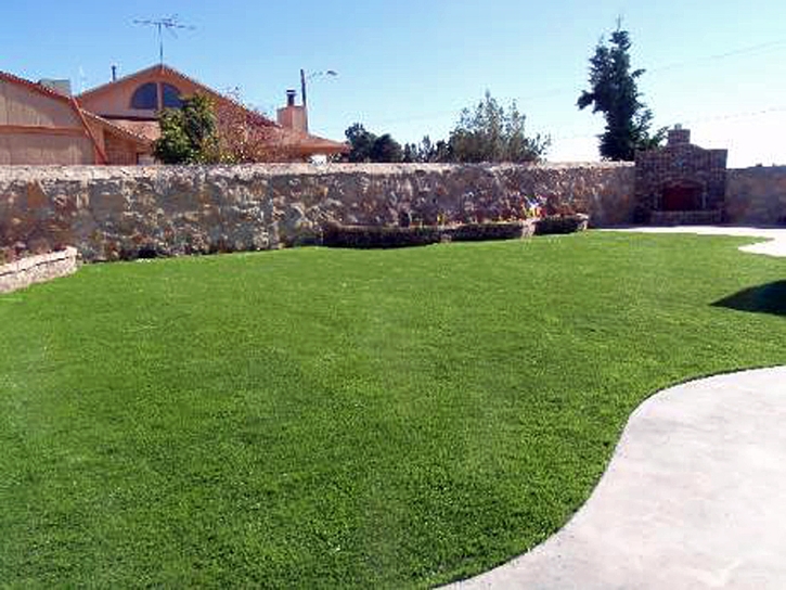 Artificial Turf Dos Palos, California Paver Patio, Backyard Landscape Ideas