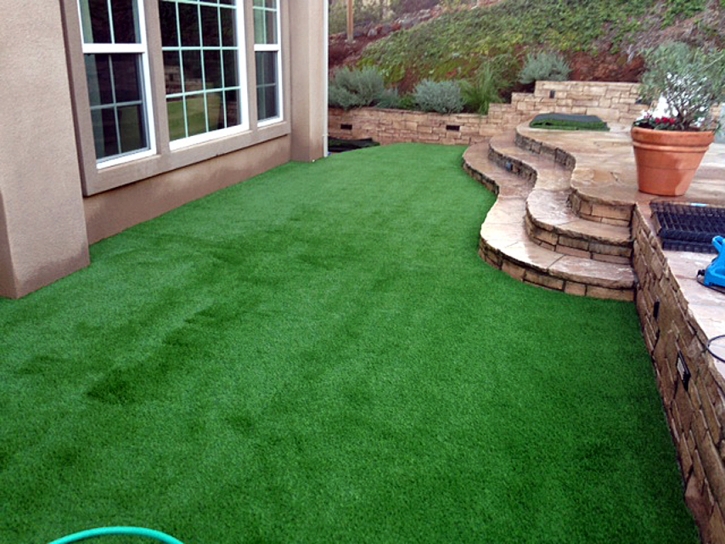 Artificial Turf Dos Palos Y, California City Landscape, Backyard Landscaping