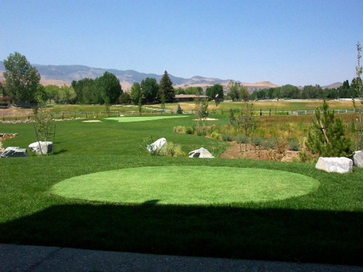 Artificial Turf El Nido, California Backyard Putting Green, Backyard Makeover