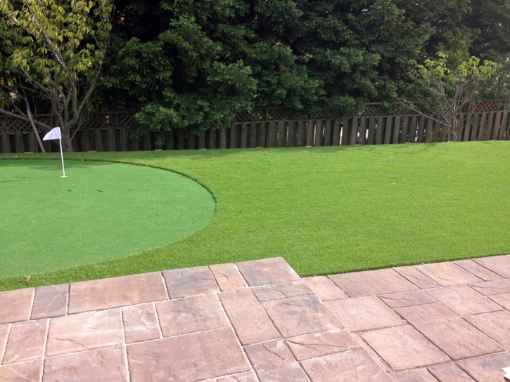 Artificial Turf Hilmar-Irwin, California Putting Greens, Backyard Landscaping Ideas