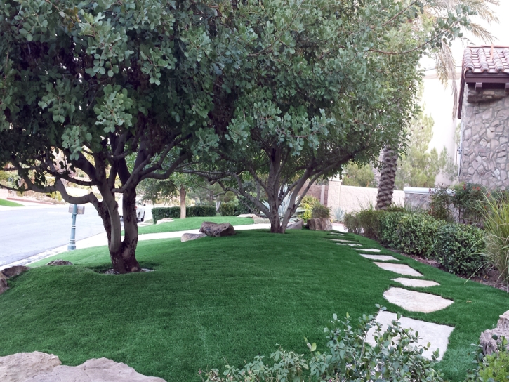 Artificial Turf Installation Ballico, California Landscape Photos, Front Yard Landscape Ideas