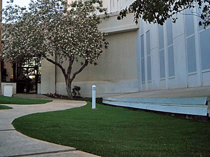 Artificial Turf Installation Delhi, California Backyard Playground, Front Yard Landscaping