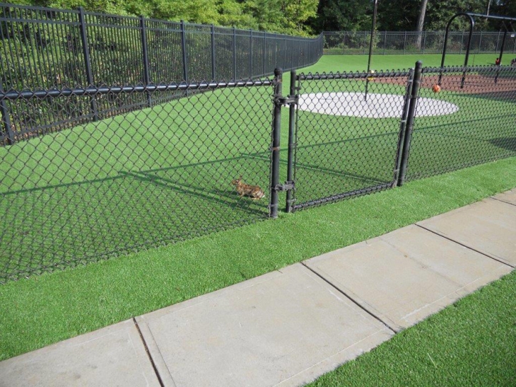 Artificial Turf Installation Stevinson, California Design Ideas, Recreational Areas