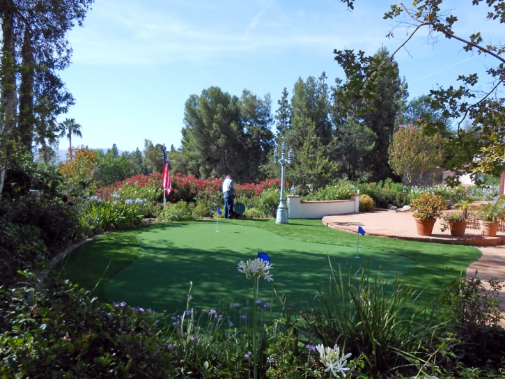 Artificial Turf Installation Stevinson, California Backyard Playground, Backyard Landscape Ideas