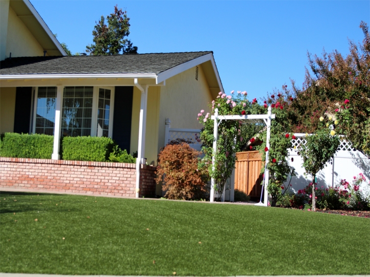 Artificial Turf Planada, California Design Ideas, Landscaping Ideas For Front Yard