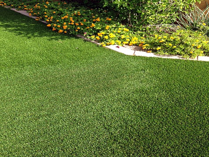 Artificial Turf South Dos Palos, California Backyard Deck Ideas, Small Front Yard Landscaping