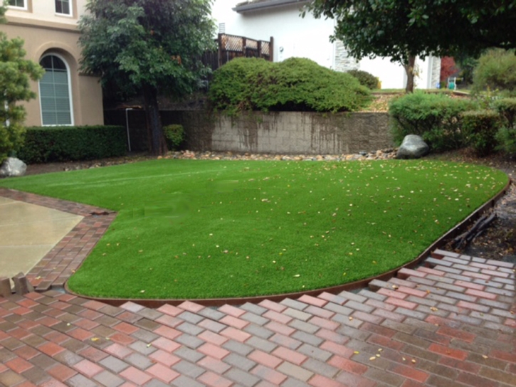 Artificial Turf Stevinson, California Lawn And Landscape, Small Front Yard Landscaping