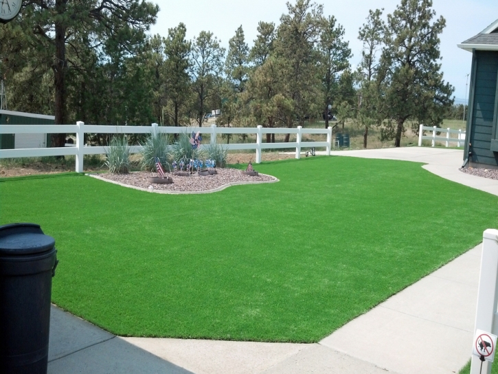 Best Artificial Grass Bear Creek, California Gardeners, Front Yard Landscape Ideas