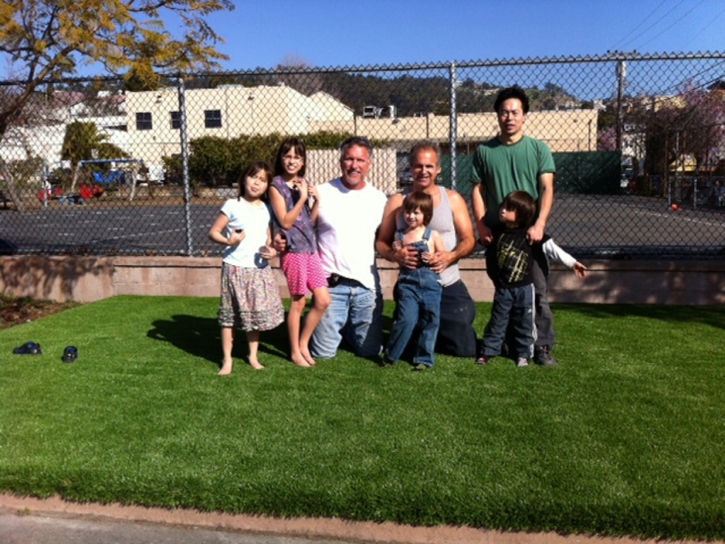 Best Artificial Grass Cressey, California Rooftop, Commercial Landscape