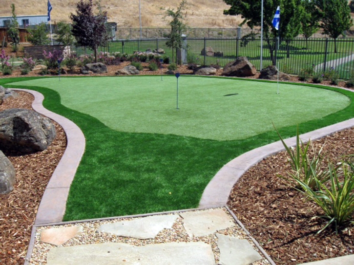 Best Artificial Grass Cressey, California Gardeners, Backyard Landscaping Ideas